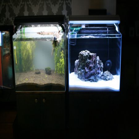 집성목으로 만든 어항받침2