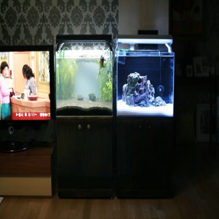 집성목으로 만든 어항받침2