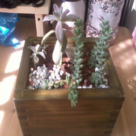 스마트짜임플레이트로 화분만들기