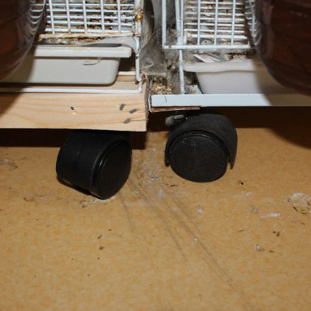 새장 이동용 받침판