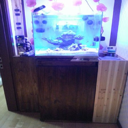 움직이는 틈새장