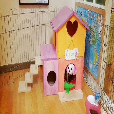 세계최초 2층짜리 강아지집