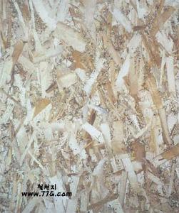 DIY21601.jpg (20621 bytes)