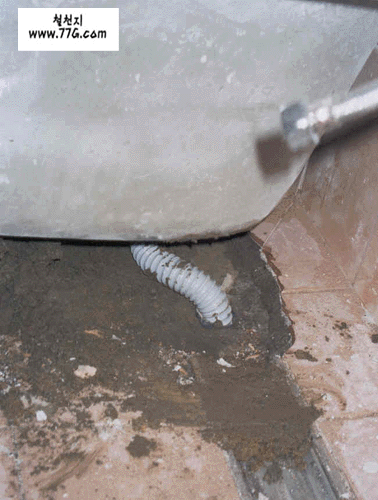 DIY22005.gif (123164 bytes)