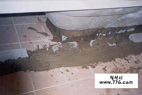 DIY22006.gif (110114 bytes)