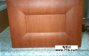 DIY22205.gif (40643 bytes)