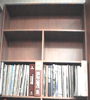 diy22102.gif (74703 bytes)