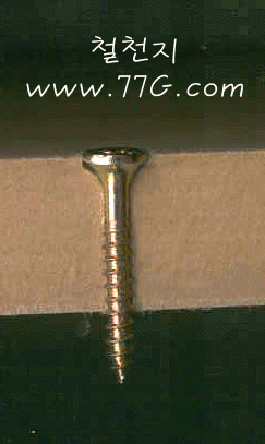 diy22804.gif (47859 bytes)