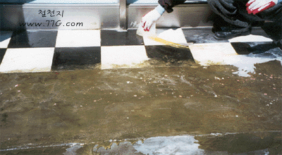 diy23101.gif (60488 bytes)