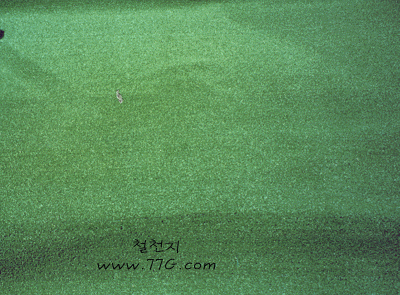 diy23104.gif (103961 bytes)