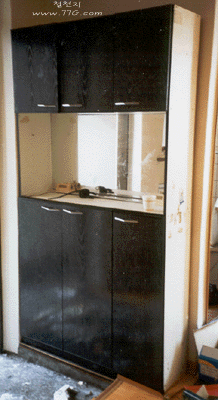 diy23704.gif (64334 bytes)