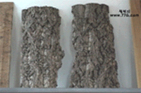 diy25106.gif (23976 bytes)