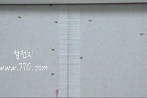 diy25202.gif (9410 bytes)