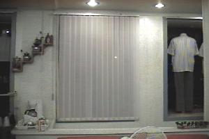 koybog009.jpg (8811 bytes)