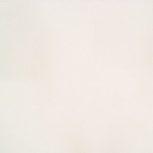 TC 순색 [쟈가드] 