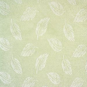 잎새 에메랄드 [쟈가드] 