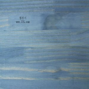 천연고농축스테인 청색소(120mL)