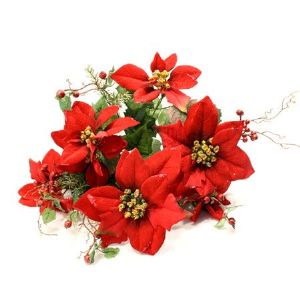 포인세티아꽃 - 펄(red)