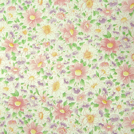 데코 AO-12 코스모스 (1M) 1