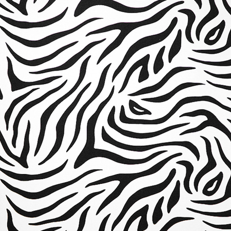 데코 AO-39 얼룩말무늬 (1M) 1