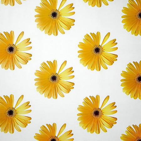 데코 AO-41 서니플라워 (1M) 1