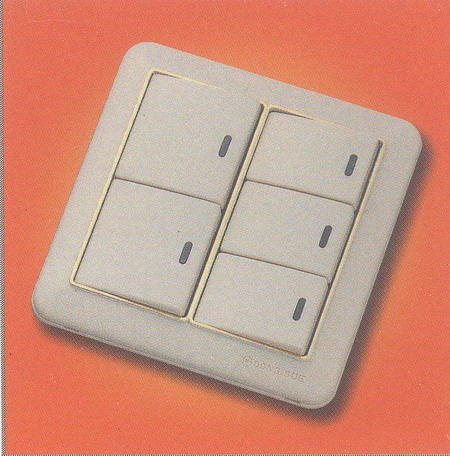 텀블러 백색 매입 스위치 2개용 5구 1