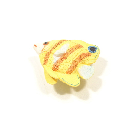 옐로우 피쉬 (KT2506) 1