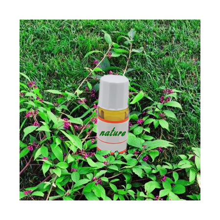 천연 오렌지 오일500ml 1