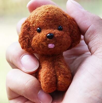 베이비쵸코푸들(한국어설명) A07 1