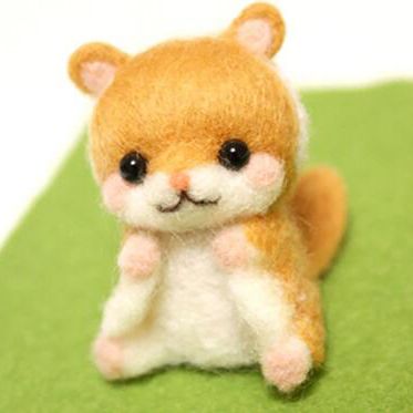 날아날아 날다람쥐 A13