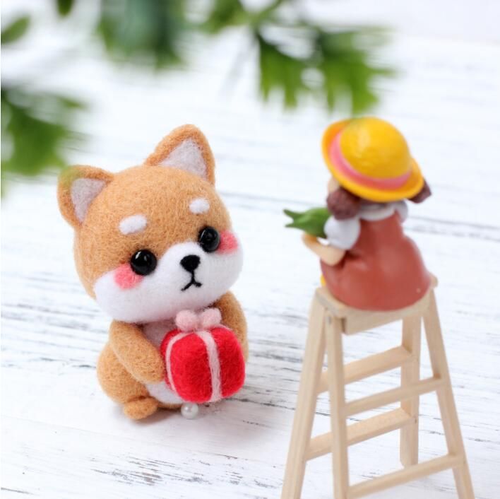 선물 안은 시바견 B25