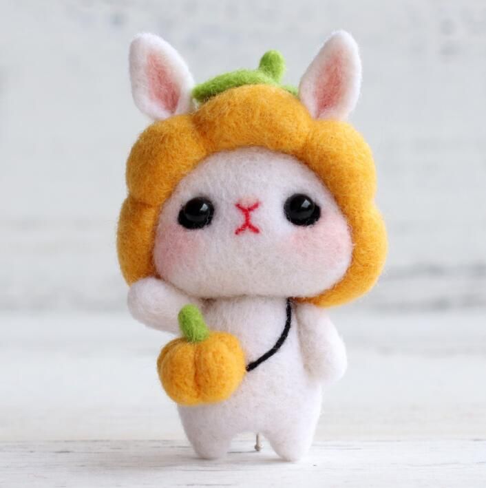 귤모자 토끼 C05