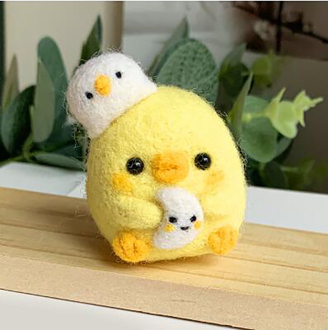 달조아노랑병아리 H01 1