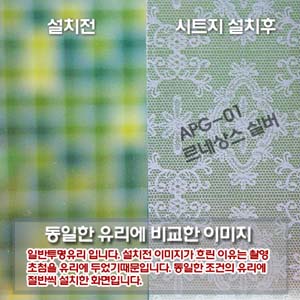 글라스 APG-01 르네상스-실버 (1P) 2
