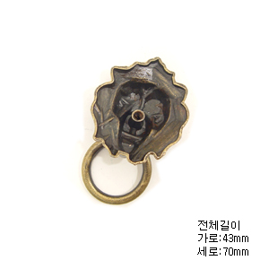 브론즈 사자 (CB1209/AB) 2