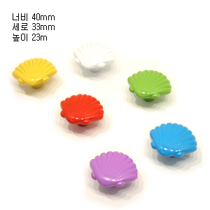 레인보우 꼬막 화이트 3