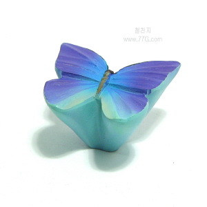 버터플라이 바이올렛 (KT2505) 2