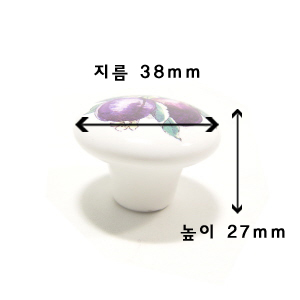 파파야 (KT6518) 3