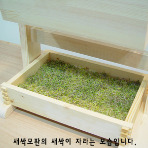 앞뜰 화분거치대(간편조립) 2