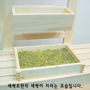 텃밭 화분 거치대(간편 조립) 2