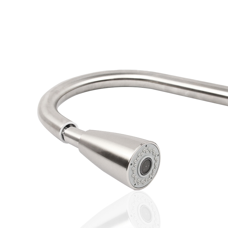 거위목 무광수전 3